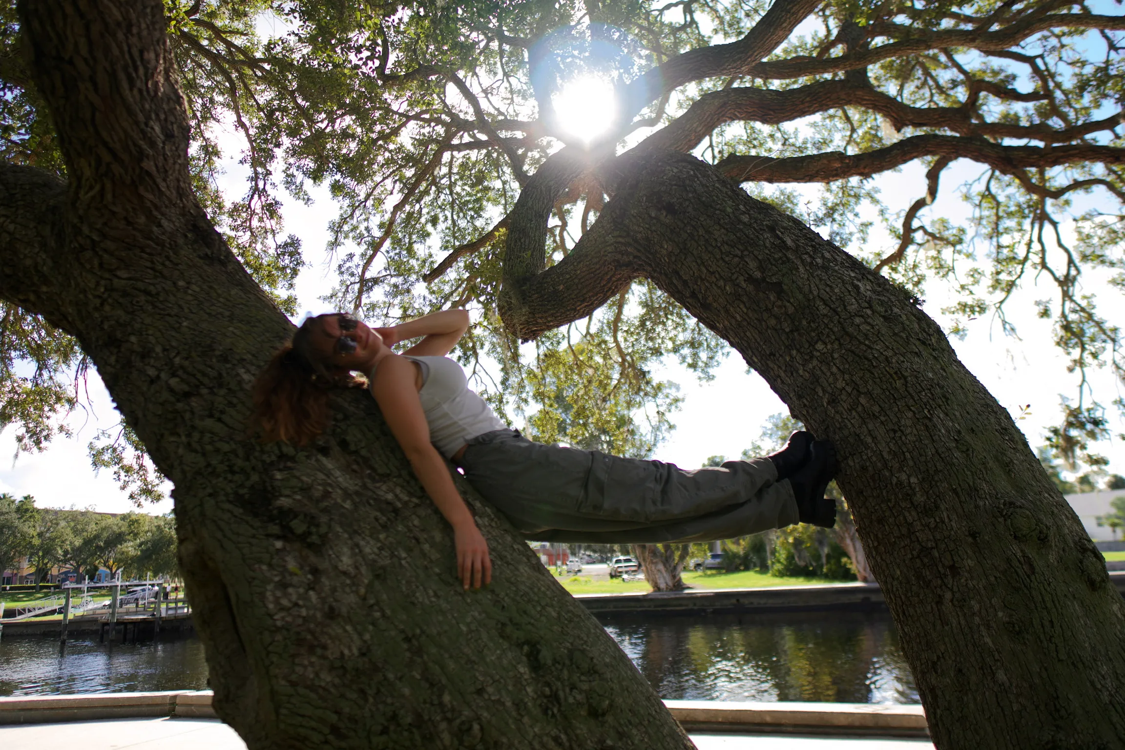 A woman lying back along a low oak branch, sun flaring through the canopy