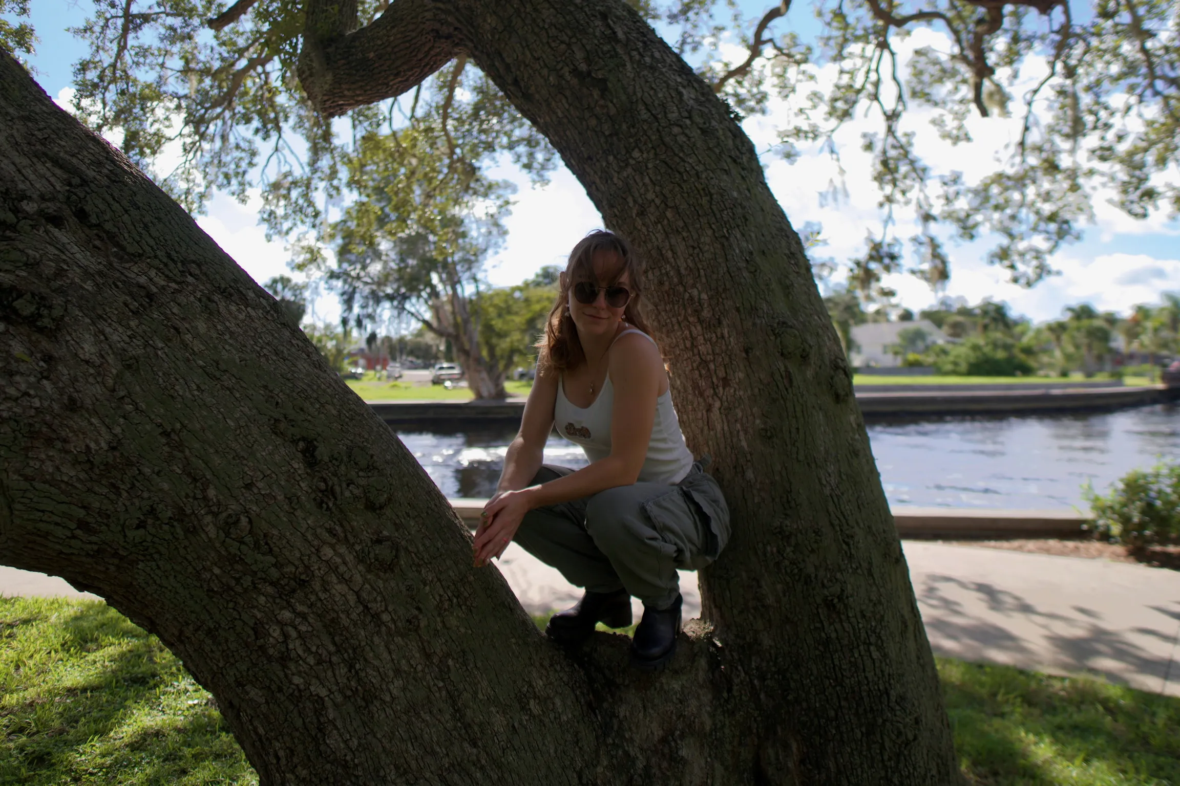 A woman crouched at the base of a leaning oak, a path and water behind her