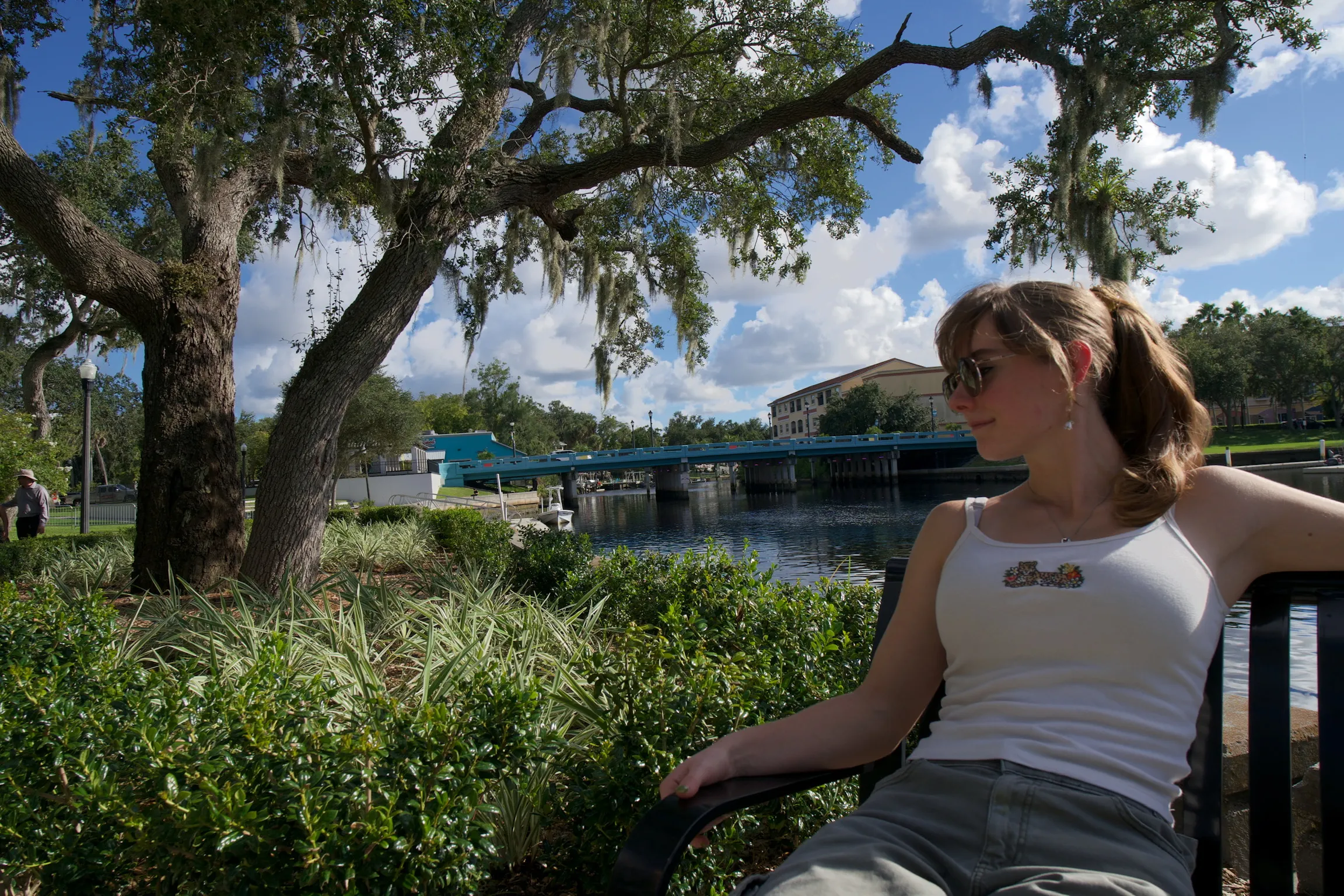 A woman on a bench framed by a live oak, marina behind